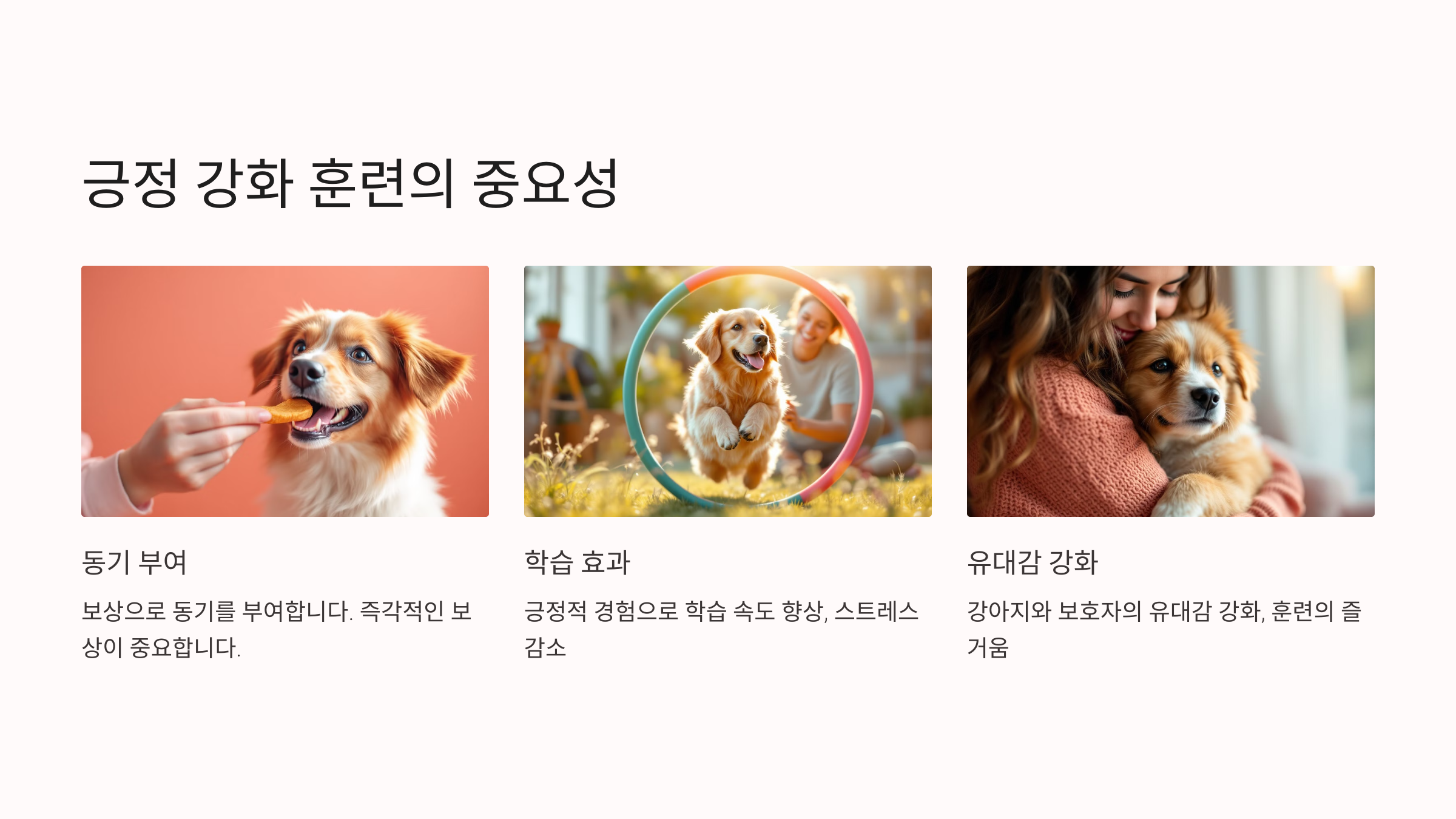 긍정 강화 훈련의 중요성