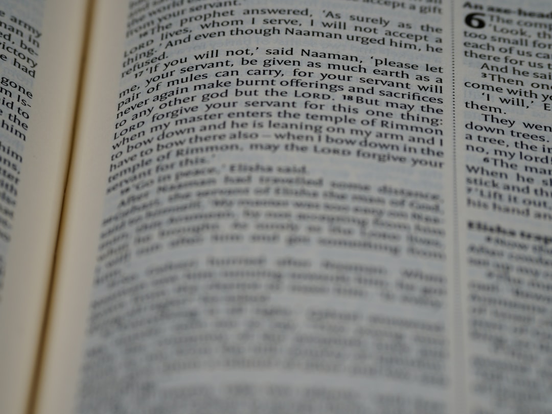 '대부'를 영어로 번역하면 lending 또는 loan.