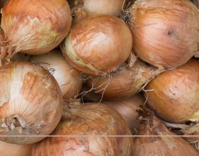 양파즙 효능 고혈압