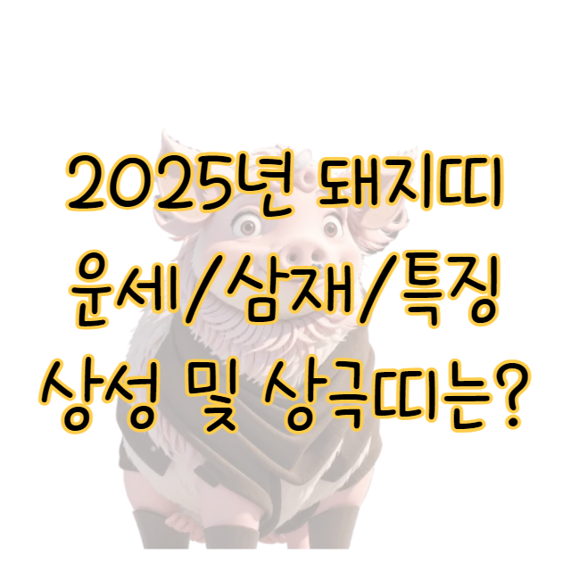 2025년 돼지띠 운세 삼재 특징 상성 및 상극 표지