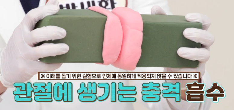 콘드로이친 효능