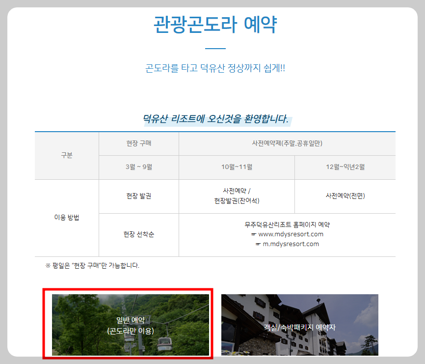 곤도라 예약