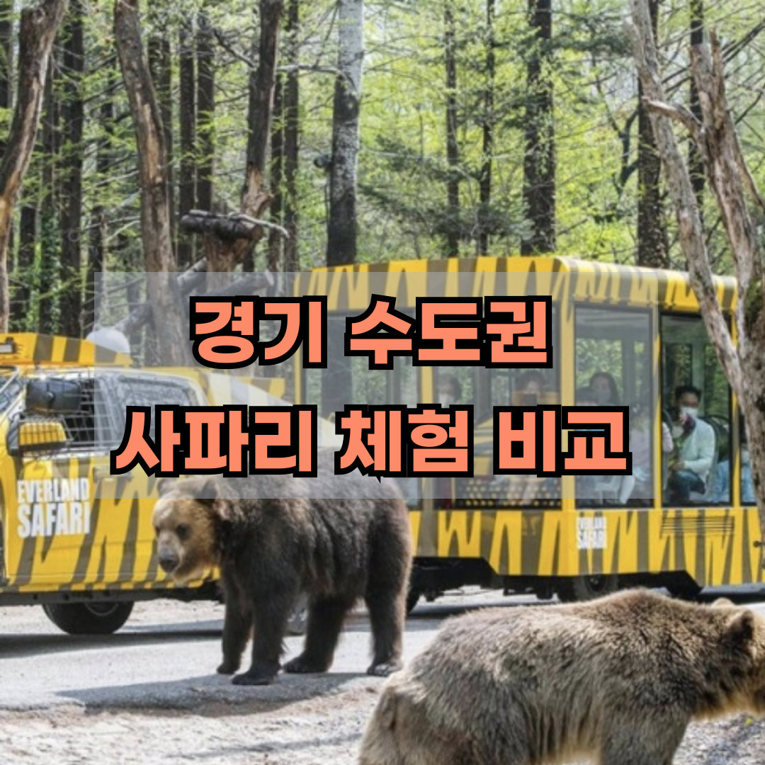 수도권 사파리 체험 비교