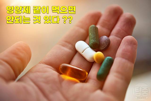 영양제 같이 먹으면 안되는 종류 영양제 같이 복용 유산균 홍삼 셀레늄 철분 비타민
