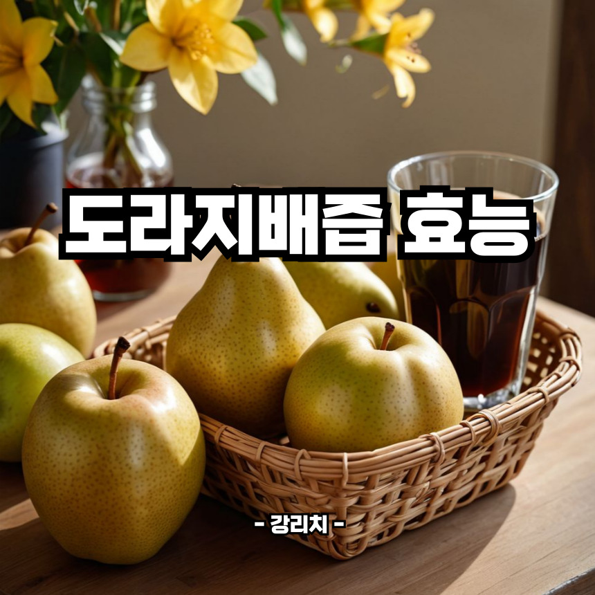 도라지배즙 효능
