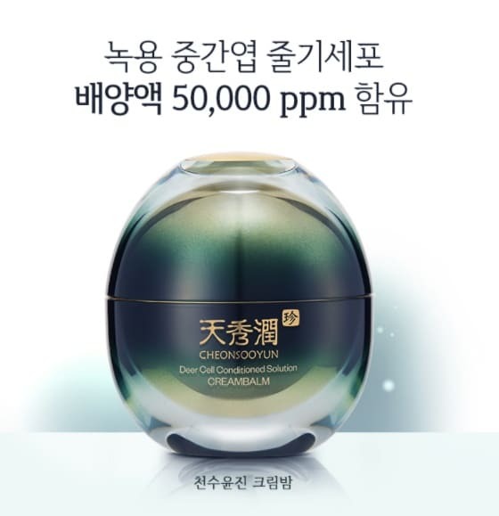 천수윤진 가격