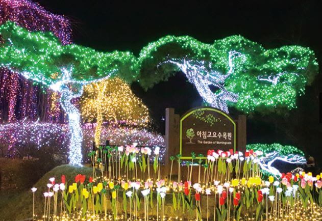 아침고요수목원 오색별빛정원전
