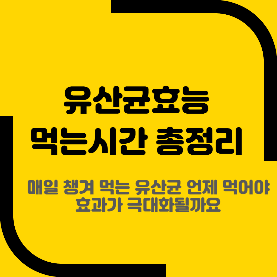 유산균효능 먹는시간 총정리