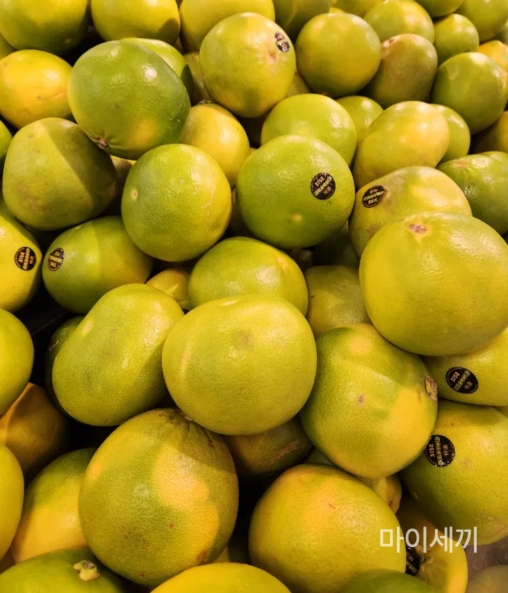 메로골드자몽 가격