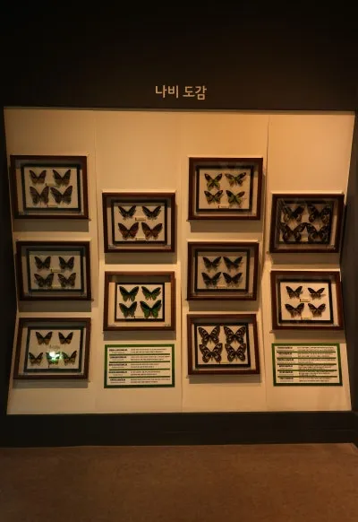 함평 가볼만한 곳