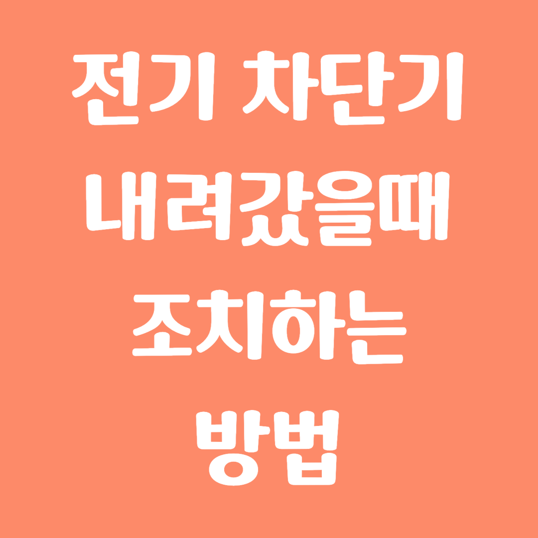 전기 차단기 내려갔을 때 조치하는 방법