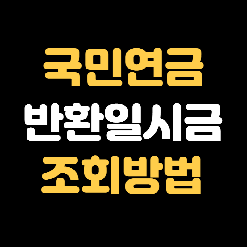 국민연금 반환일시금 조회