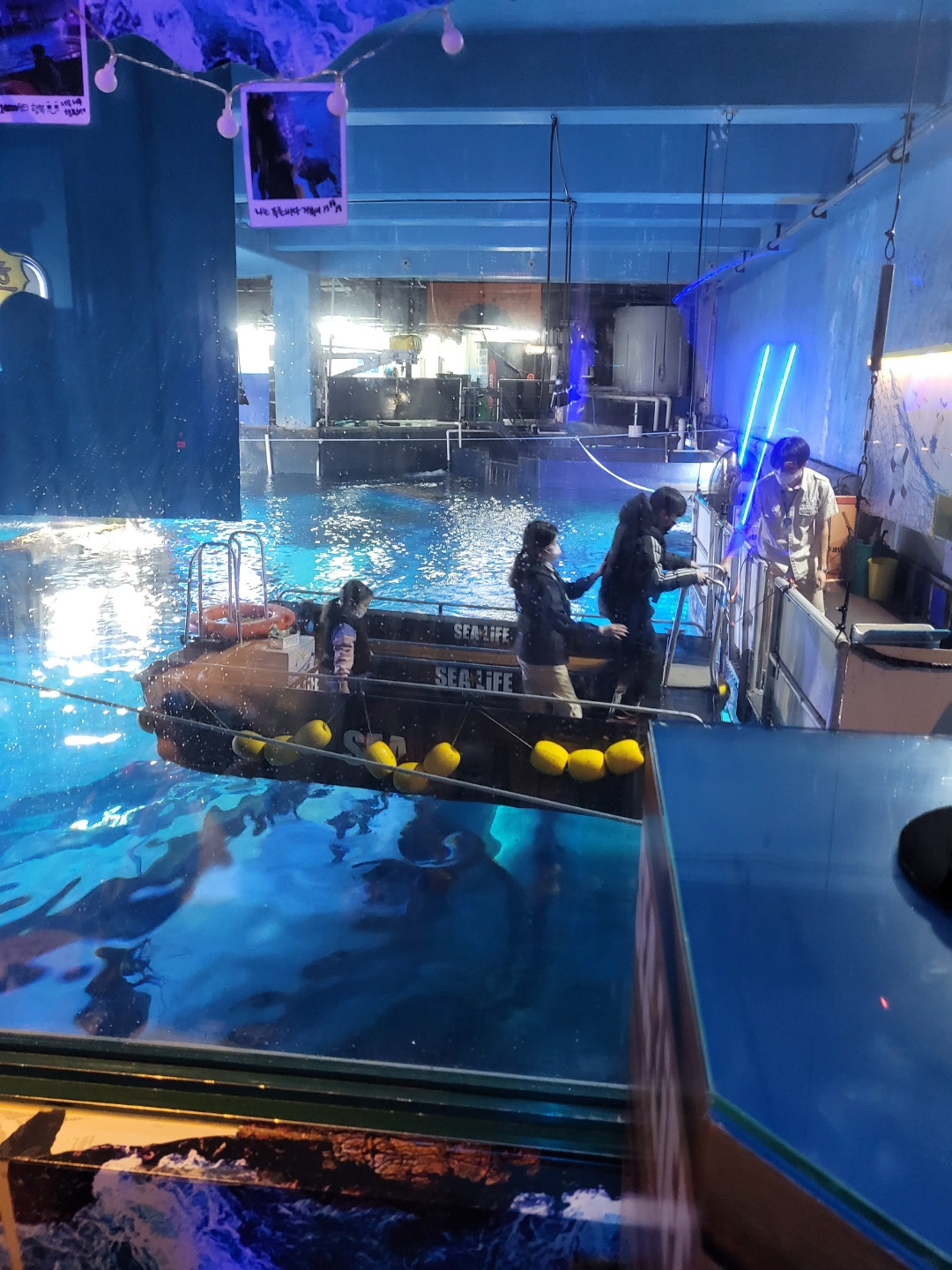 부산 아쿠아리움