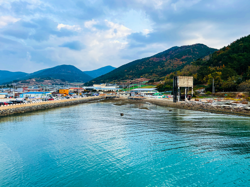 신기항 금오도 배시간표