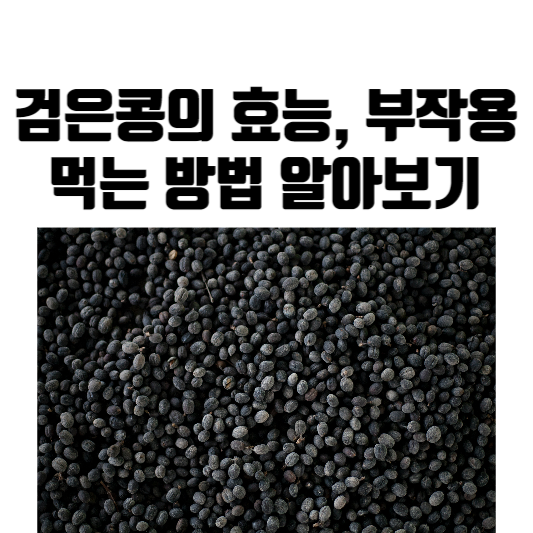 검은콩의 효능과 부작용, 먹는 방법