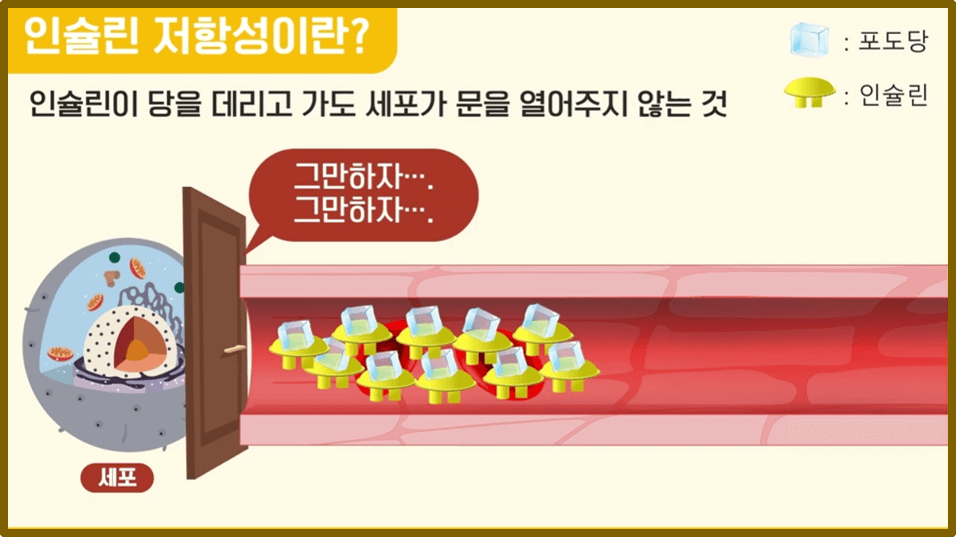 인슐린