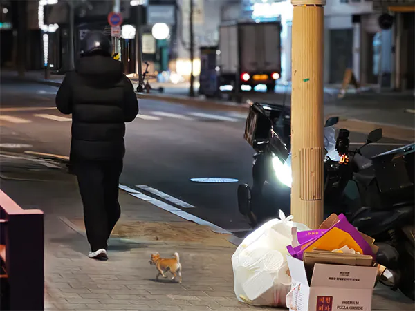 플랫폼-노동자