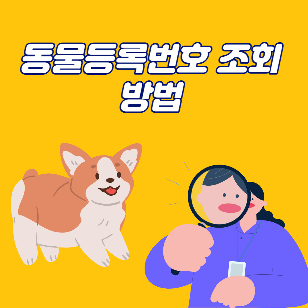 동물등록번호 조회