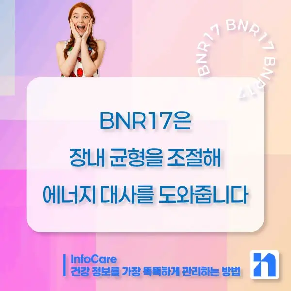 BNR17 유산균 효능, 복용법