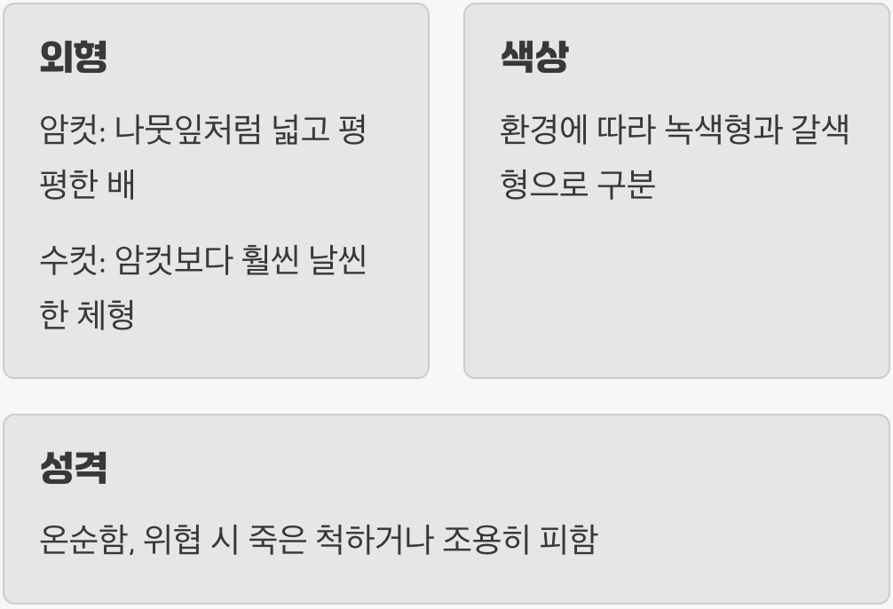 특별한 손님, 넓적배사마귀 구별법