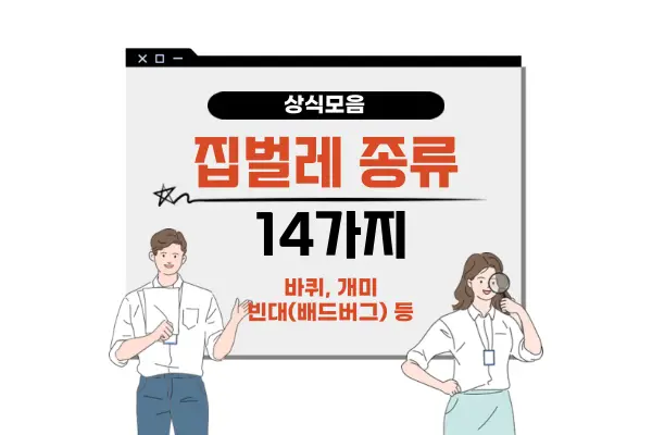 집벌레 종류 14가지(바퀴 개미 빈대(배드버그&#44; 베드버그) 특징 등)