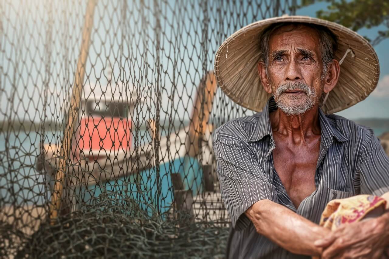 [2024년 노인일자리] 구직 정보 조회 및 신청 방법 총 정리!