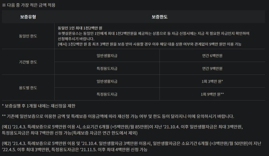 보증유형 및 보증한도