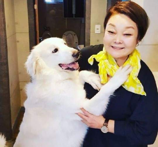 빅마마 이혜정