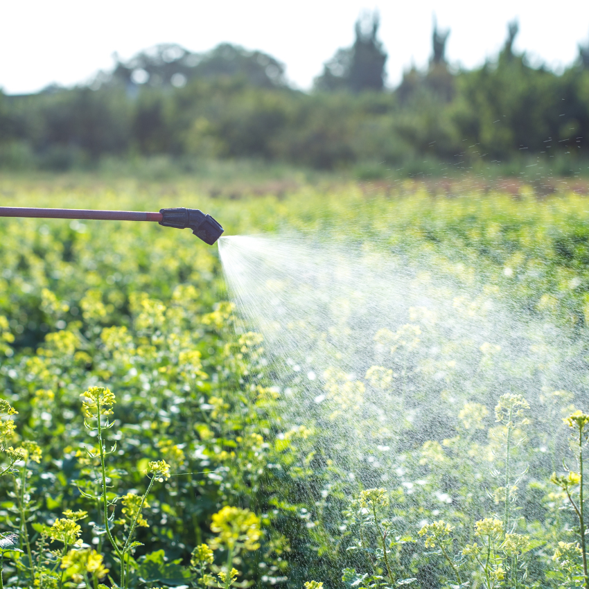 모기 퇴치 꿀팁_12