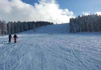 2025-2026 웰리힐리파크 스키장 개장 일정 & 시즌권 혜택 총정리