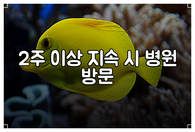 2주 이상 지속 시 병원 방문