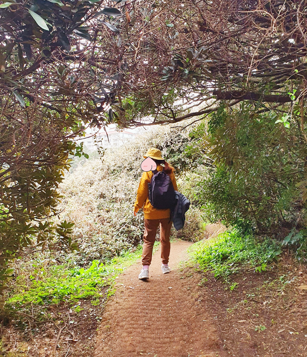 제주올레4코스
