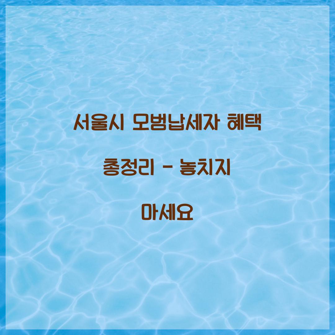 서울시 모범납세자 혜택
