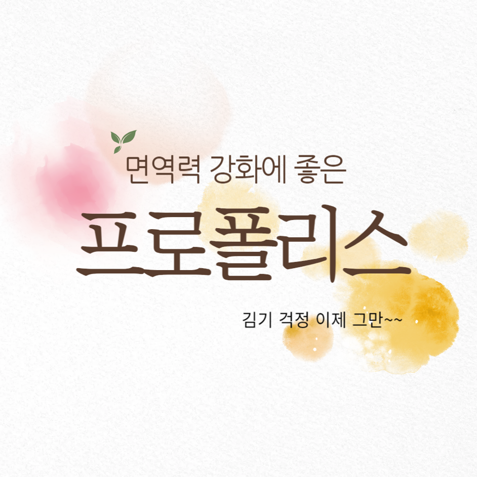 감기 걱정 끝! 프로폴리스로 강해지는 면역력 비법