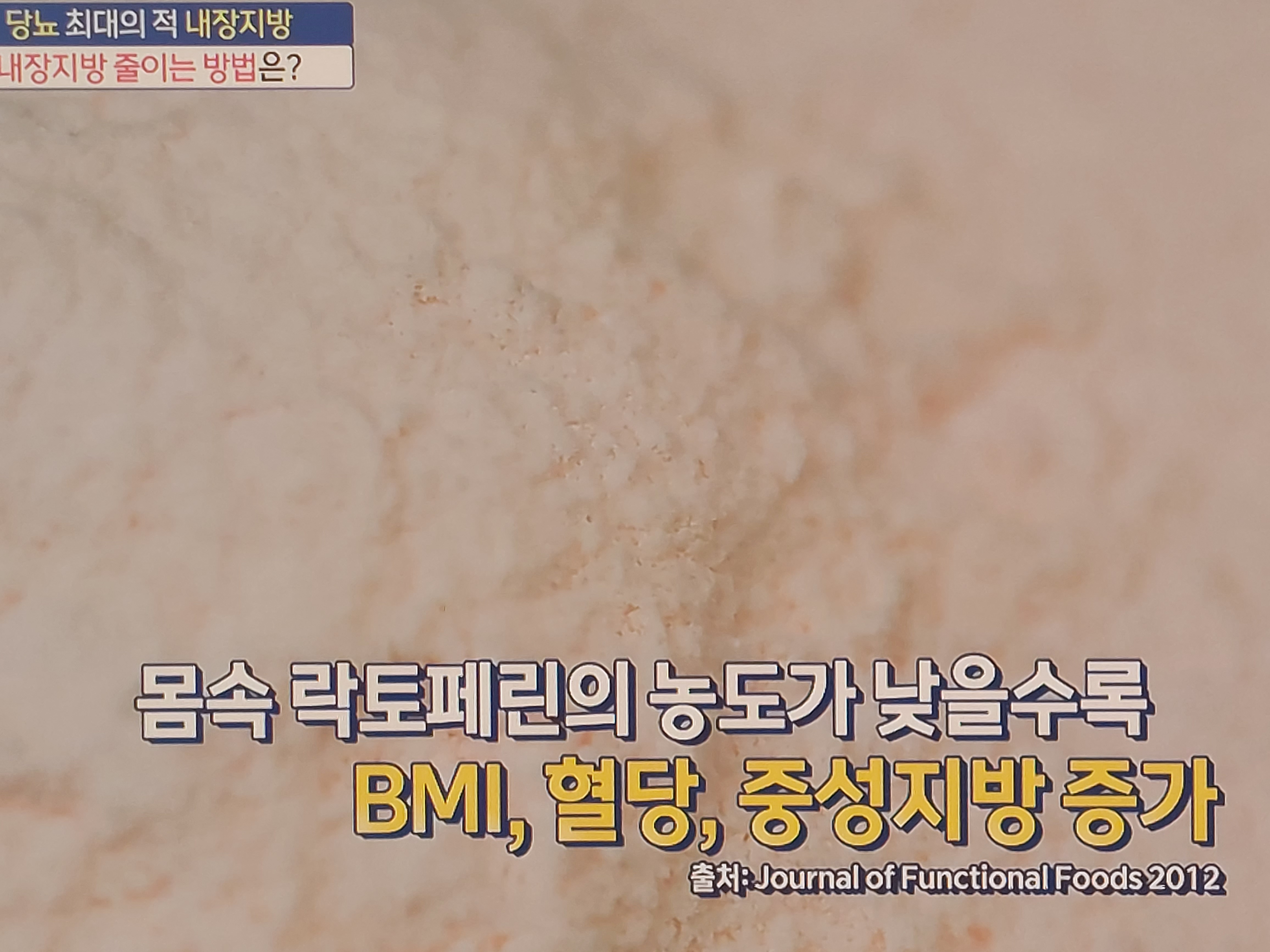 락토페린 효능