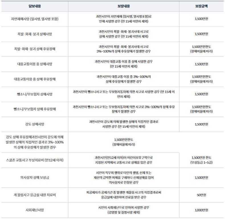 과천시 시민안전보험