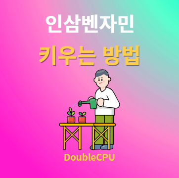 인삼벤자민 키우기