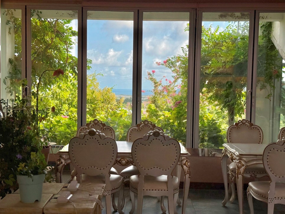 제주 핑크뮬리 명소 마노르블랑