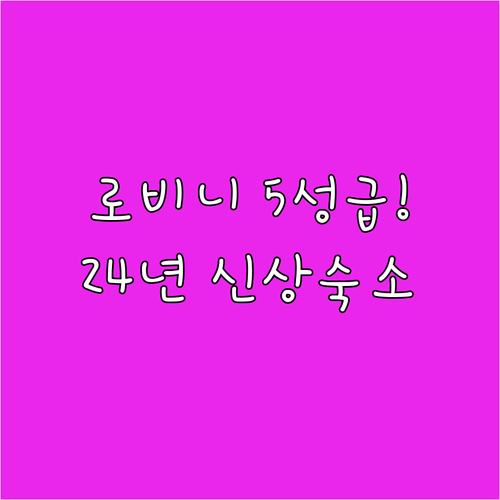 직접 확인한 로비니 숙소 5성급 호텔..