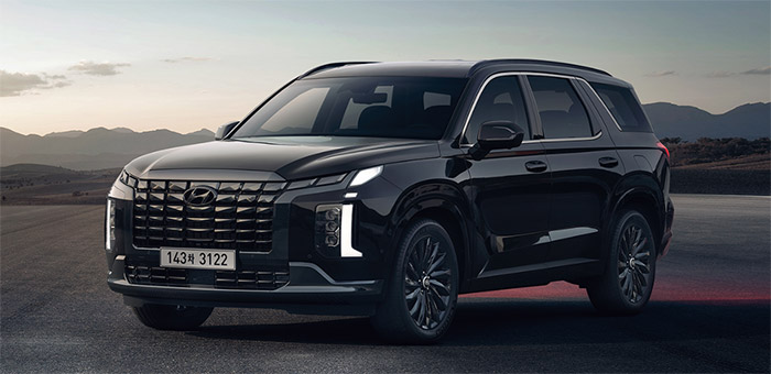 팰리세이드-(Palisade)