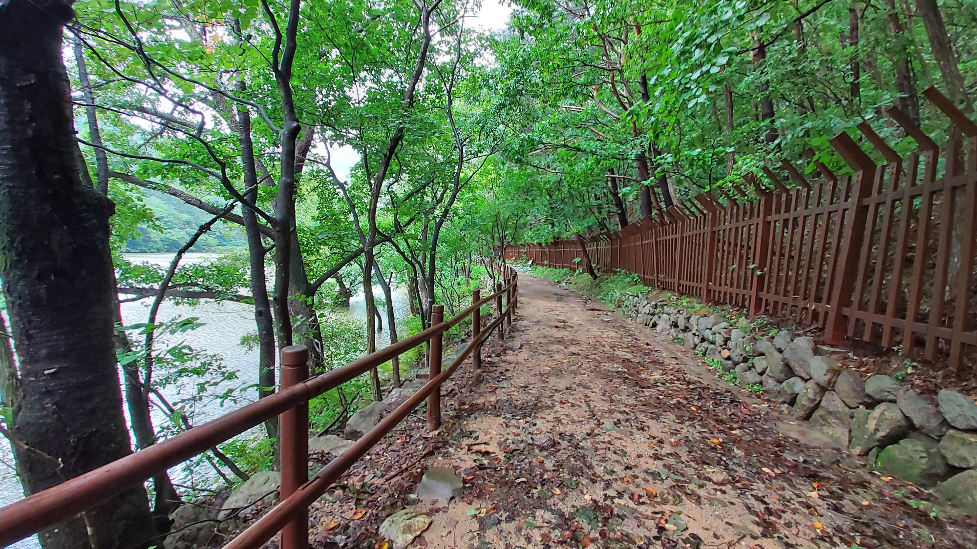 경북 청송군 주산지 길