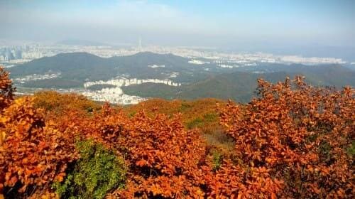 청계산-등산코스-매봉