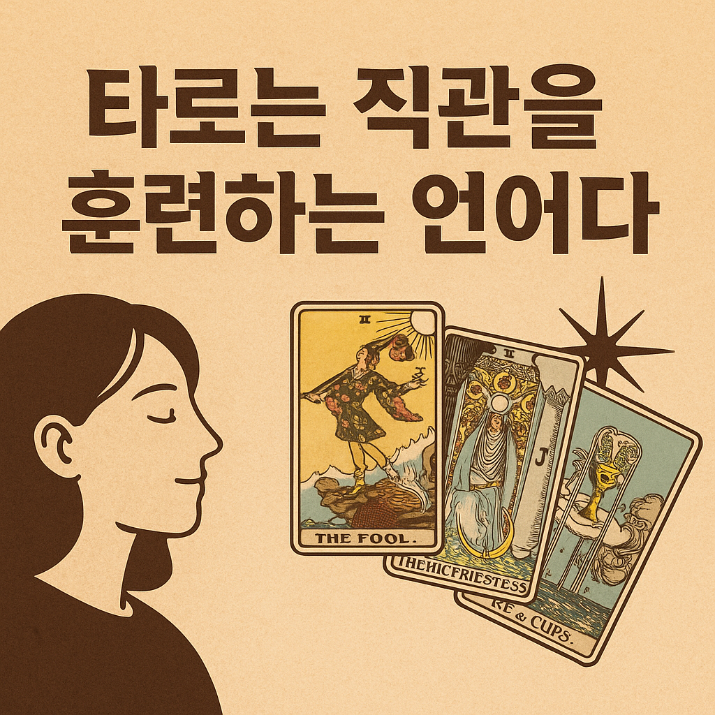 타로는 직관을 훈련하는 언어다