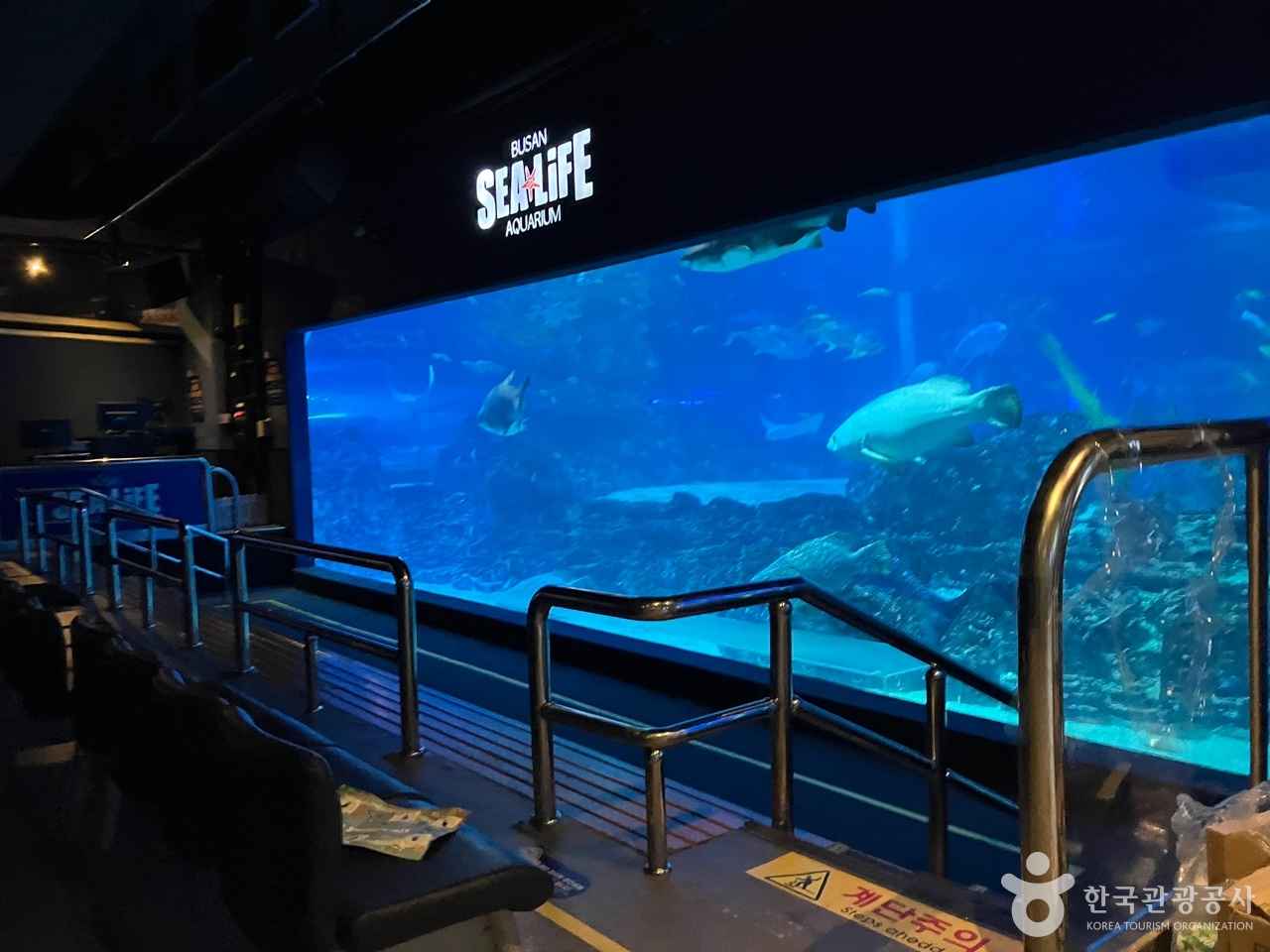 부산 아쿠아리움 입장료 및 주변 가볼만한 곳