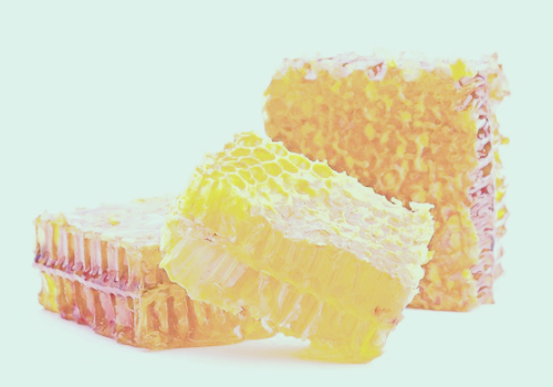 프로폴리스 효능