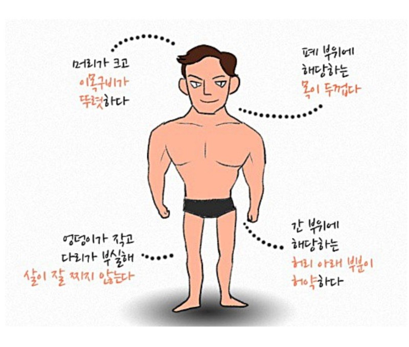 태양인 특징 및 건강관리 방법