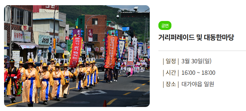 2025 고령 대가야 축제 거리 퍼레이드