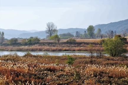 고구려의 탄생과 건국 과정