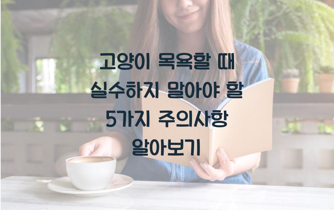 고양이 목욕할 때 실수하지 말아야 할 5가지 주의사항