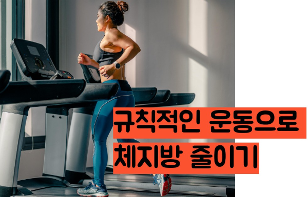 간수치 낮추는법